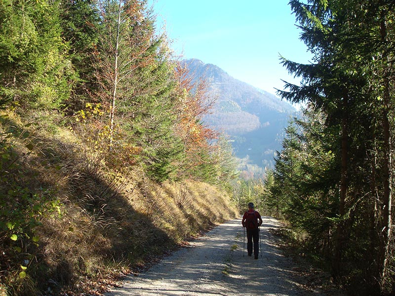 hochbaerneck